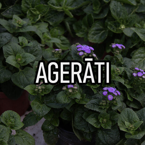 Agerāti